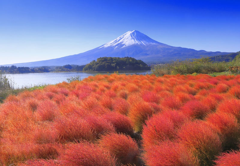 One-day tour of 7 popular Instagram spots on Mount Fuji: Lake Yamanaka, Hikawa Clock Shop, Arakurayama Sengen Park, Lawson convenience store, Oshino Hakkai, Lake Kawaguchi, and Jinba Stables. - Lake Yamanaka: a quieter first look