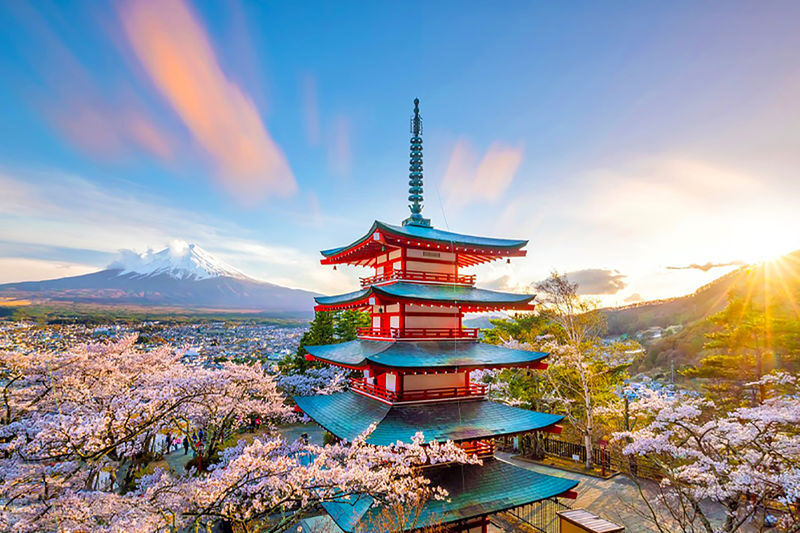 One-day tour of 7 popular Instagram spots on Mount Fuji: Lake Yamanaka, Hikawa Clock Shop, Arakurayama Sengen Park, Lawson convenience store, Oshino Hakkai, Lake Kawaguchi, and Jinba Stables. - Oishi Park: a lakeside view with seasonal color
