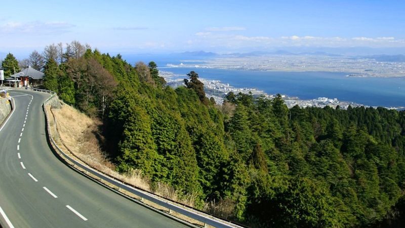 One-day tour of Atami Sunshine Beach Road, Kinusaki Coast, and Mount Omuro in Izu - From Shinjuku to the Izu coast