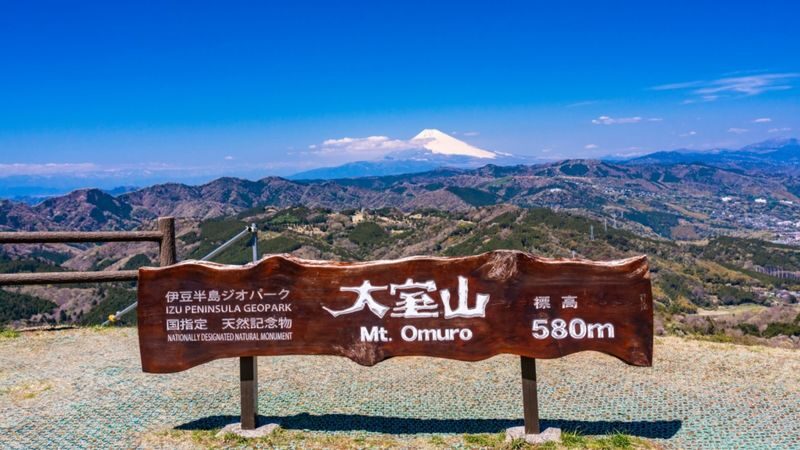One-day tour of Atami Sunshine Beach Road, Kinusaki Coast, and Mount Omuro in Izu - Ito Marine Town: a practical seaside pause