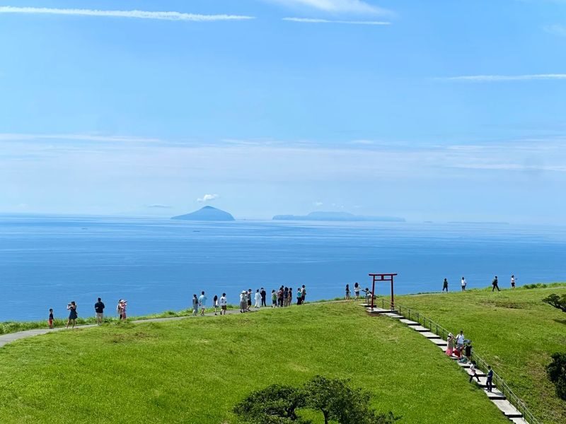 One-day tour of Atami Sunshine Beach Road, Kinusaki Coast, and Mount Omuro in Izu - Who should book this Izu day trip?