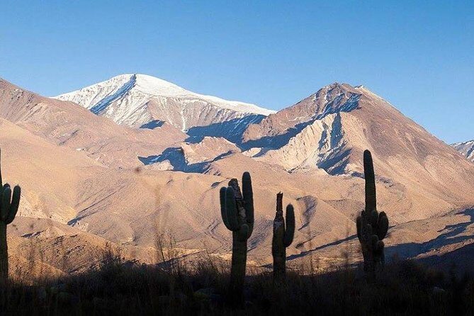 One Day Tour of Cachi and Calchaquí Valleys from Salta - An In-Depth Look at the Journey