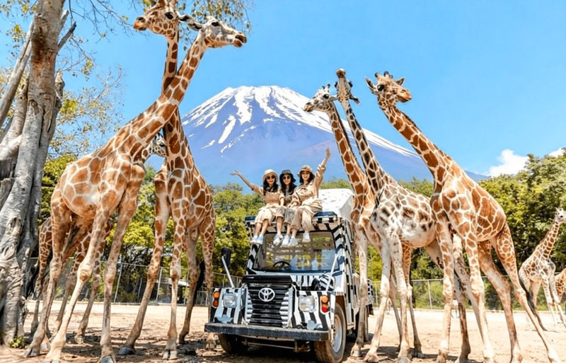 One-Day Tour of Fuji Safari Park, Oshino Hakkai, and Oishi Park - The useful details at a glance