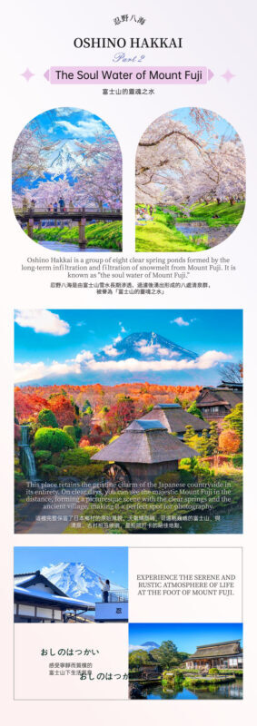 One-Day Tour of Fuji Safari Park, Oshino Hakkai, and Oishi Park - Oshino Hakkai: clear springs and a village pause