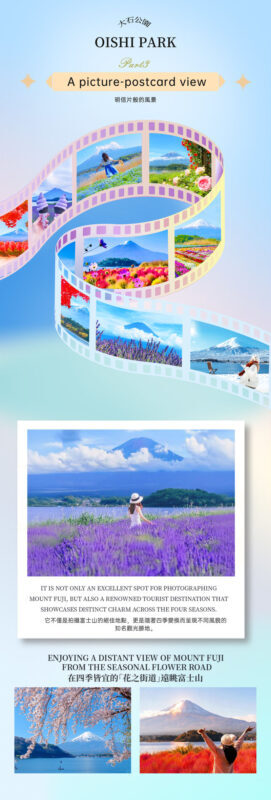 One-Day Tour of Fuji Safari Park, Oshino Hakkai, and Oishi Park - Oishi Park: flowers, lake, and a possible Fuji view