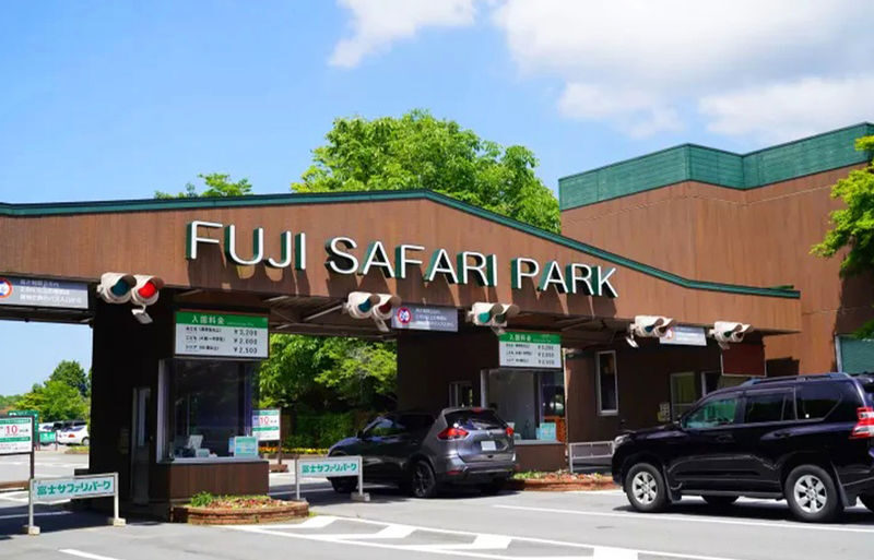 One-Day Tour of Fuji Safari Park, Oshino Hakkai, and Oishi Park - Who should book this day trip?