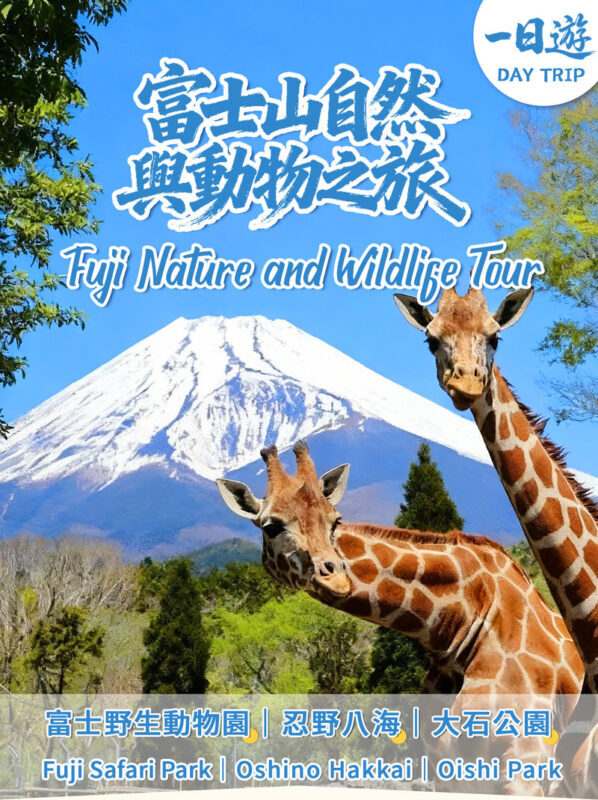 One-day tour of Fuji Safari Park, Oshino Hakkai, and Oishi Park - Three stops, three ways to see Mount Fuji
