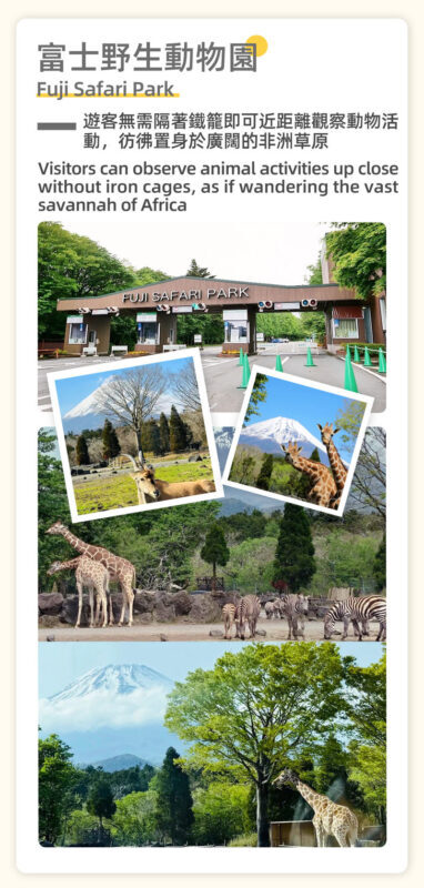One-day tour of Fuji Safari Park, Oshino Hakkai, and Oishi Park - What the price includes, and what you still pay
