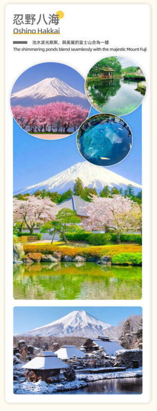 One-day tour of Fuji Safari Park, Oshino Hakkai, and Oishi Park - The ride, group size, and timing