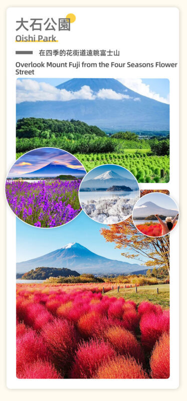 One-day tour of Fuji Safari Park, Oshino Hakkai, and Oishi Park - The guide can shape a weather-hit day