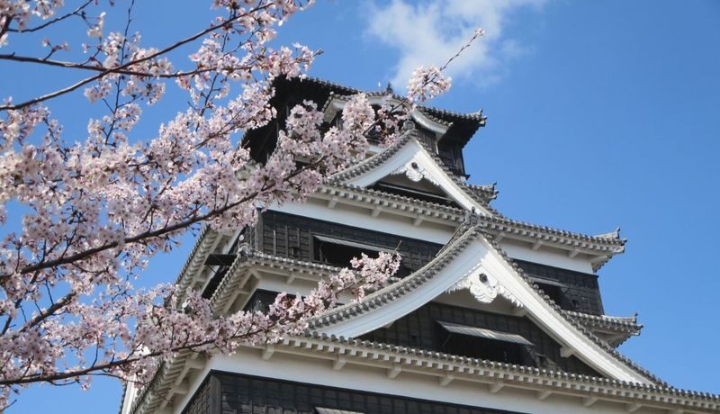 One-day tour of Kumamoto Castle, Mount Aso, and Kusasenri - Quick points before you book