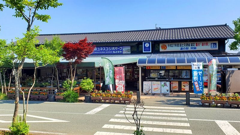 One-day tour of Kumamoto Castle, Mount Aso, and Kusasenri - A long day from Fukuoka