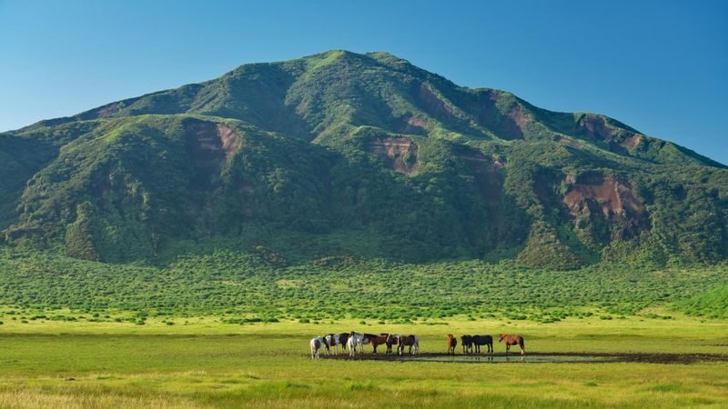One-day tour of Kumamoto Castle, Mount Aso, and Kusasenri - Mount Aso and Kusasenri: the main event