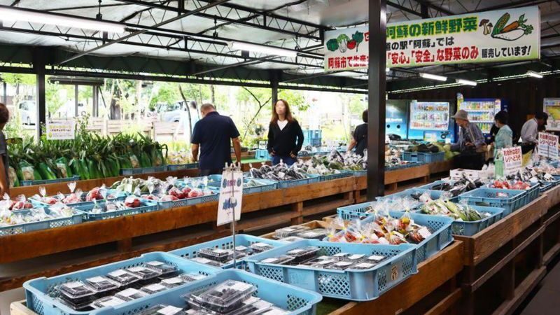 One-day tour of Kumamoto Castle, Mount Aso, and Kusasenri - Kumamoto Castle: one hour to explore