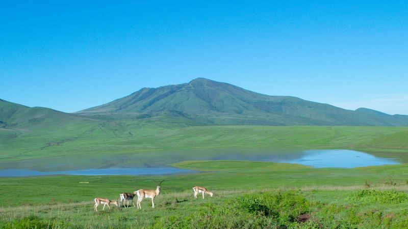 One-day tour of Kumamoto Castle, Mount Aso, and Kusasenri - What the price includes, and what it does not
