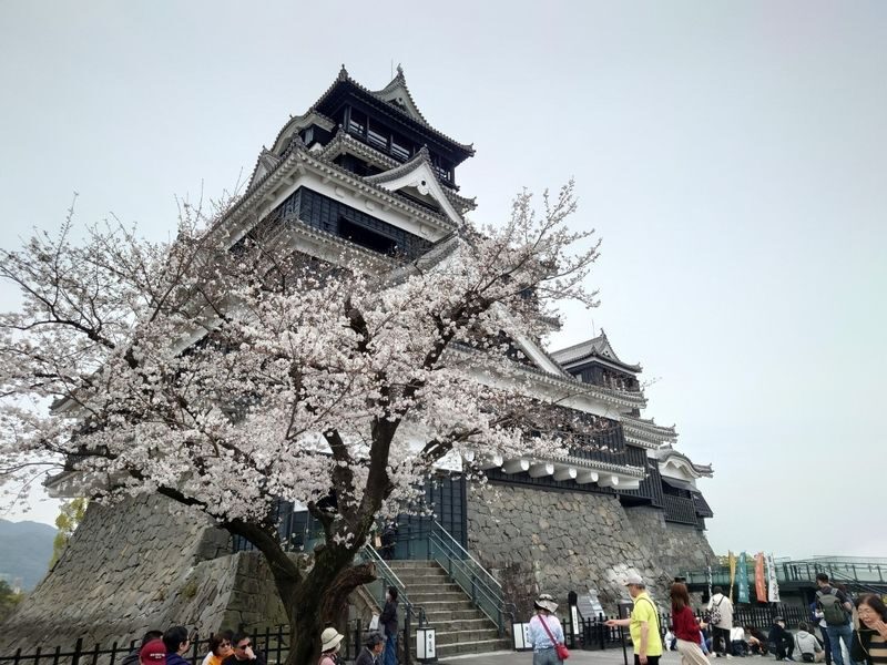 One-day tour of Kumamoto Castle, Mount Aso, and Kusasenri - Who this day trip suits