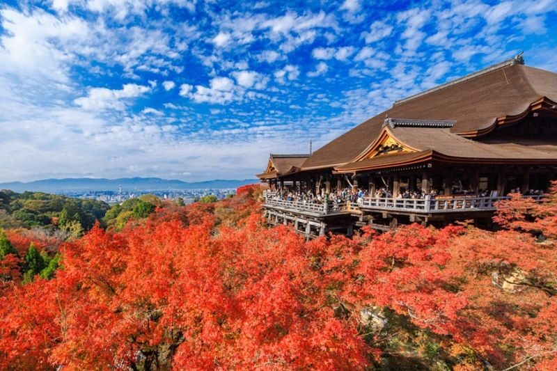 One-day tour of Kyotos Kinkaku-ji, Kiyomizu-dera, and Uji - Kiyomizu-dera: temple, hillside streets and snack stops