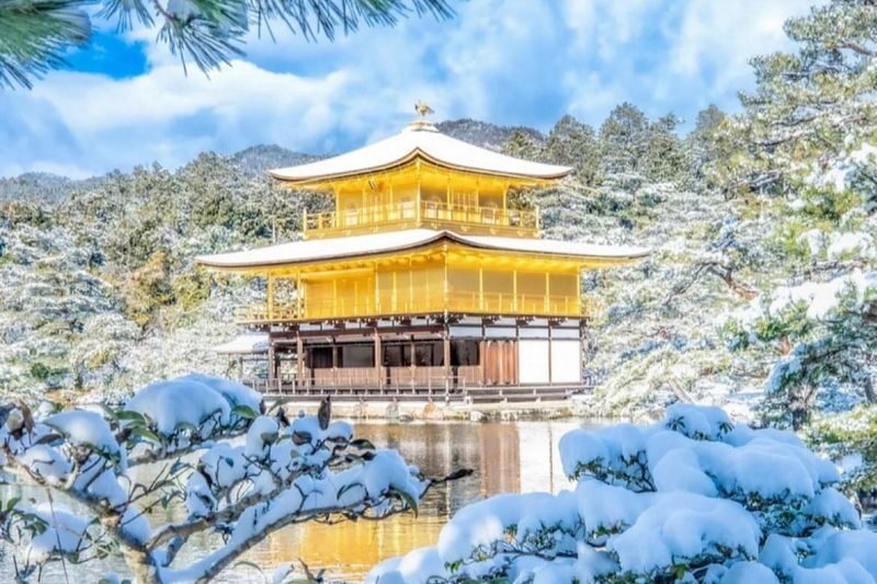 One-day tour of Kyotos Kinkaku-ji, Kiyomizu-dera, and Uji - Who should take this tour?