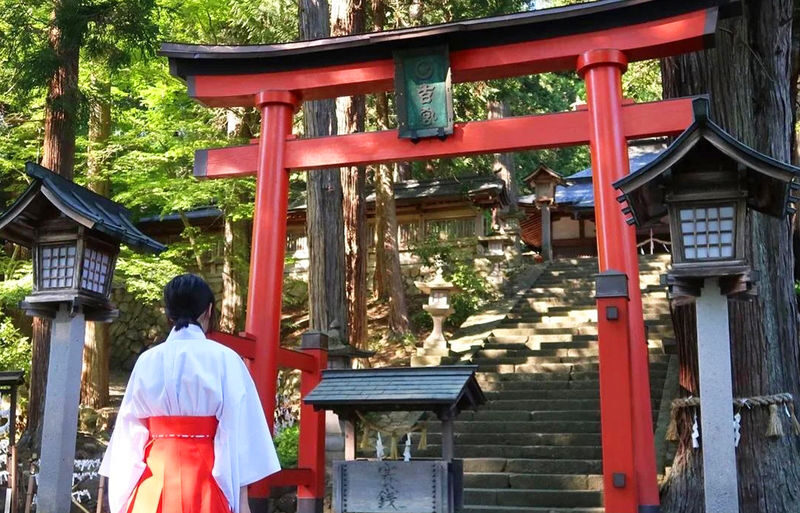 One-day tour of Nagoya Ise Grand Shrine and Mikimoto Pearl Island - Ise Grand Shrine: a sacred walk, not a quick photo stop
