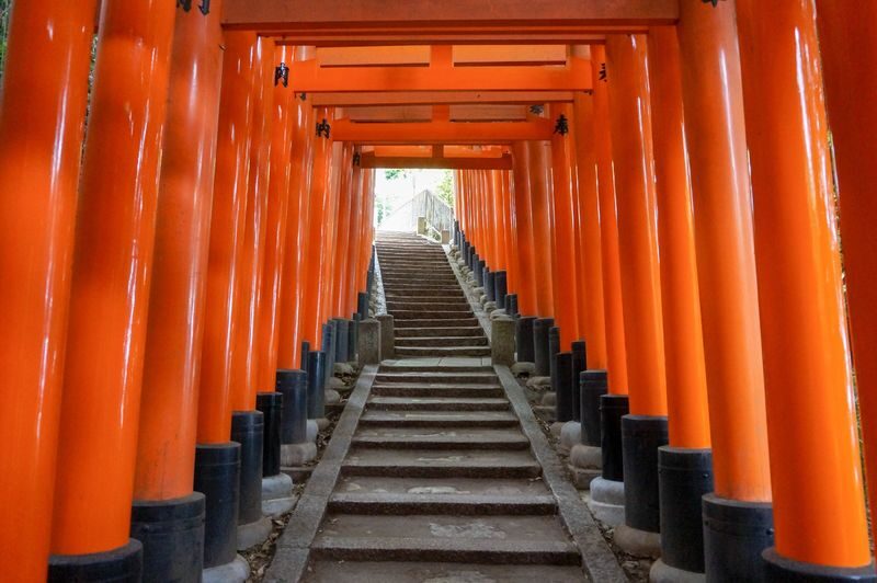 One-Day Tour of Three Ancient Capitals in Kansai, Japan: World Heritage Sites Todai-ji Temple & Byodo-in Temple & Fushimi Inari Shrines Thousand Torii Gates & Adorable Deer in Nara Park & Uji Matcha Gourmet Street (Departing from Osaka/Kyoto) - Nara Park: deer first, then the Great Buddha