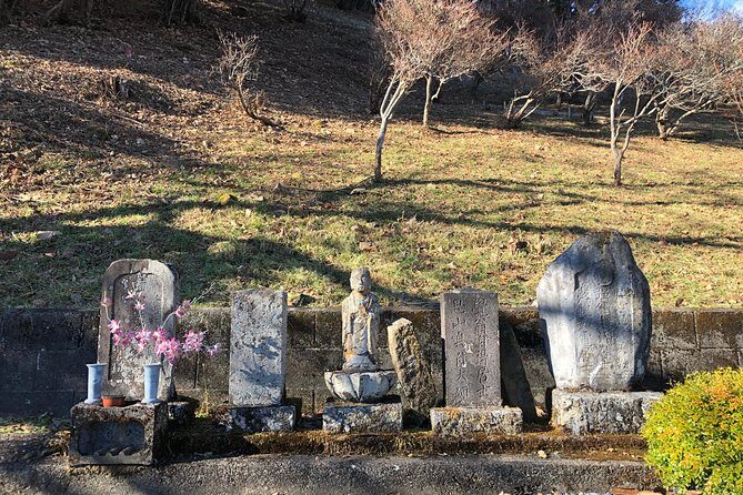 One Day Tour of Tokyo's Plentiful Nature in Hinohara Village - Key Points