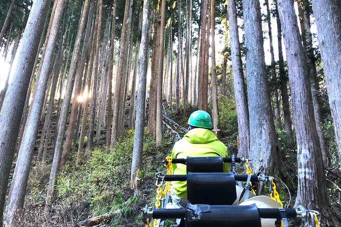 One Day Tour of Tokyo's Plentiful Nature in Hinohara Village - Why This Tour Packs a Punch