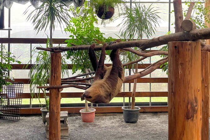 One Day Tour of Yilan, Zhang Mei Ama Farm - FAQ