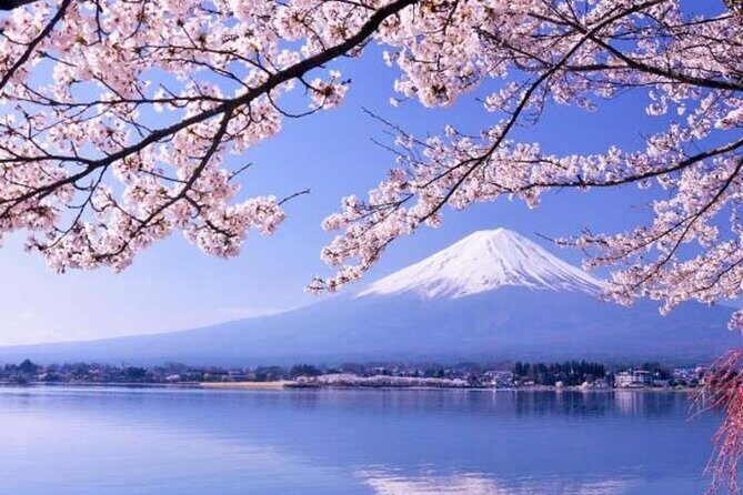 One day tour to Mount Fuji's popular attractions - One Day Tour to Mount Fujis Popular Attractions