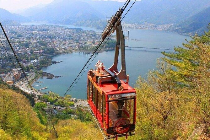 One Day Tour to Oishi Park and Fruit Picking in Mt. Fuji Tokyo - Key Points