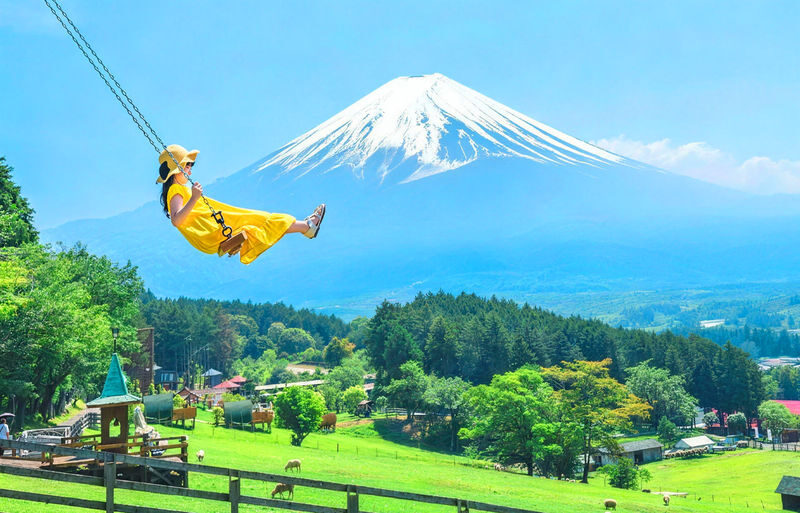 One-Day Tour to the Secret Flower Fields of Mount Fuji | Oishi Park x Motosuko Rainbow Flower Festival / Saiko Iyashi no Sato Nenba x Popular Makaino Farm x Lawson Photo Shoot (Departure from Tokyo) - At a glance