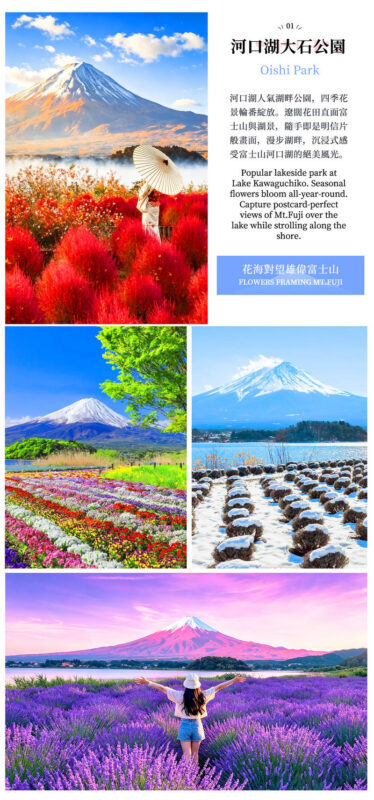 One-Day Tour to the Secret Flower Fields of Mount Fuji | Oishi Park x Motosuko Rainbow Flower Festival / Saiko Iyashi no Sato Nenba x Popular Makaino Farm x Lawson Photo Shoot (Departure from Tokyo) - A Tokyo departure, then open views around Fuji