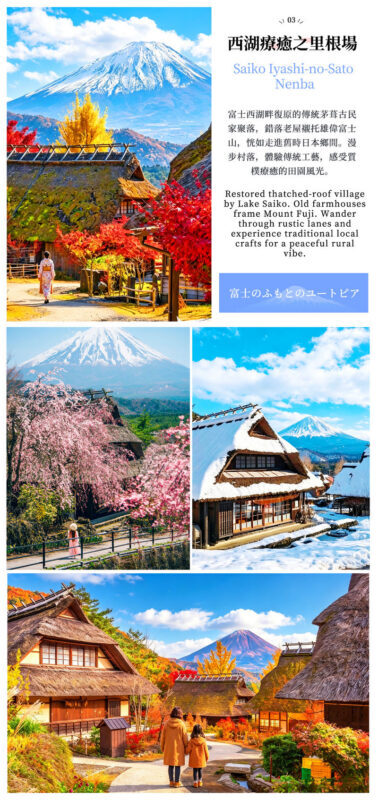 One-Day Tour to the Secret Flower Fields of Mount Fuji | Oishi Park x Motosuko Rainbow Flower Festival / Saiko Iyashi no Sato Nenba x Popular Makaino Farm x Lawson Photo Shoot (Departure from Tokyo) - The flower fields or the traditional village