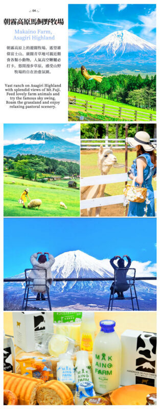 One-Day Tour to the Secret Flower Fields of Mount Fuji | Oishi Park x Motosuko Rainbow Flower Festival / Saiko Iyashi no Sato Nenba x Popular Makaino Farm x Lawson Photo Shoot (Departure from Tokyo) - Makaino Farm makes the day feel less like a photo circuit