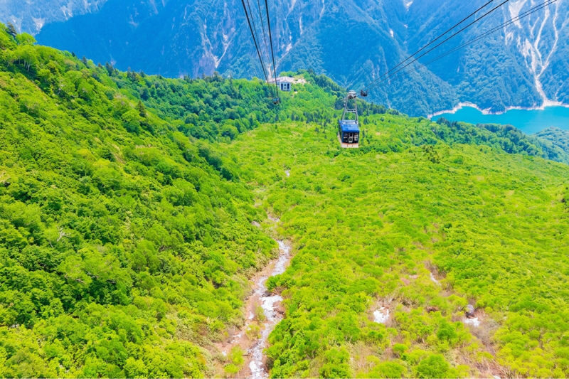 One-day tour to the Tateyama Kurobe Alpine Route from Kanazawa - Should you book it?