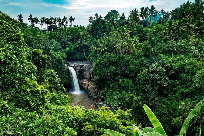 One Day Tour Ubud With Private Guide - The Value Proposition