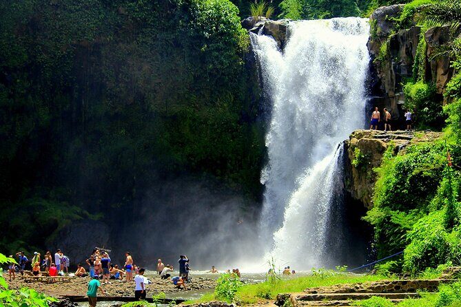 One Day Tour Ubud With Private Guide - Who Should Consider This Tour?