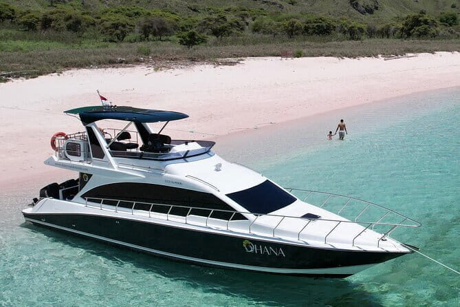 One Day Tours Komodo - Padar Island - Pulau Siaba Besar: The Perfect Close