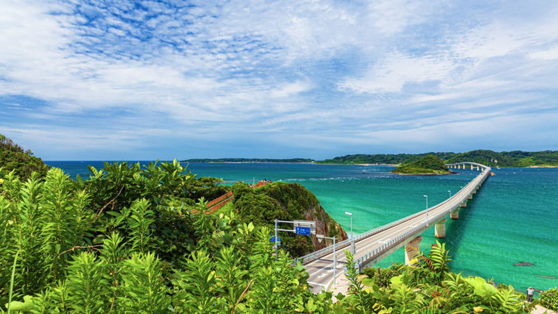 One-day trip to Fukuoka Akiyoshido Cave and Tsunoshima Bridge - Guides and transport make the remote route workable