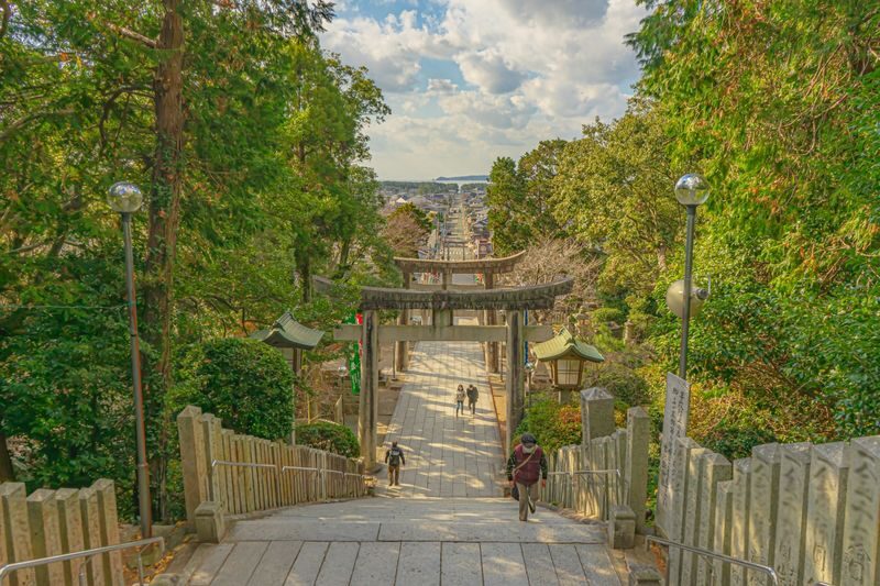 One-Day Trip to Kitakyushu: Kawachi Wisteria Garden (Seasonal), Kokura Castle Garden, Uminonakamichi Seaside Park, Miyajidake Shrines Road of Light, and THE OUTLETS Kitakyushu | Departure from Fukuoka/Hakata - Who should book this Kitakyushu day trip?