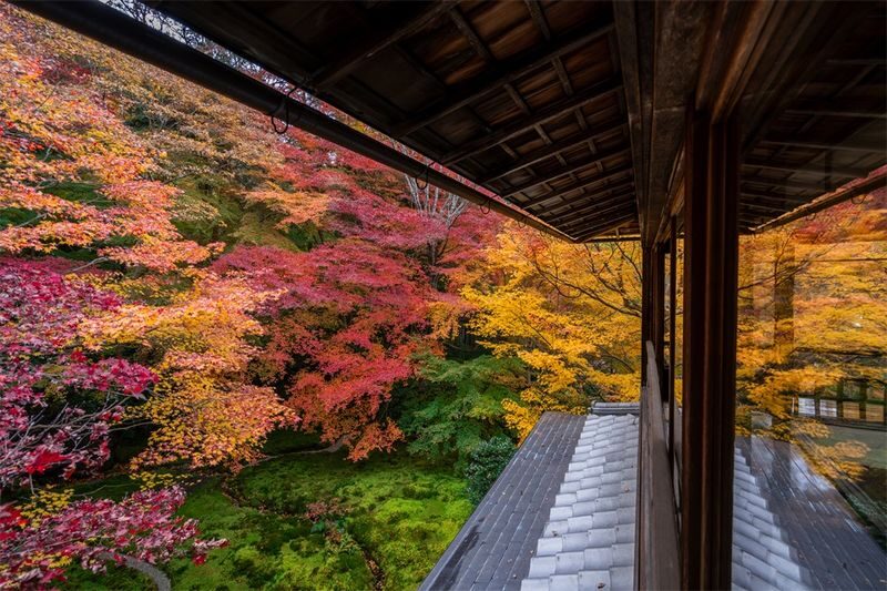 One-day trip to Kyotos Kifune Shrine, Arashiyama, and Sanzen-in Temple - Sanzen-in’s moss garden and temple calm