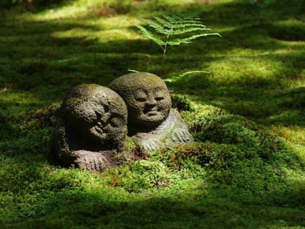 One-day trip to Kyotos Kifune Shrine, Arashiyama, and Sanzen-in Temple - Arashiyama’s bamboo, bridge and Kimono Forest