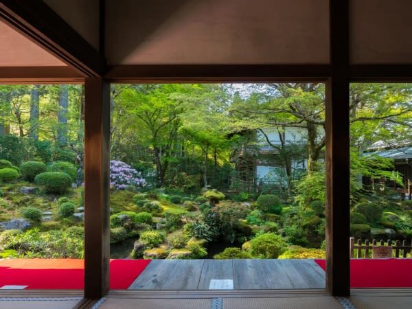 One-day trip to Kyotos Kifune Shrine, Arashiyama, and Sanzen-in Temple - What the transport and schedule mean for you