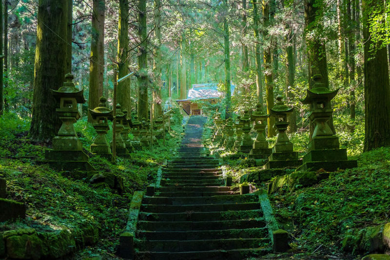 One-day trip to Kyushu Miyazaki: Kamishikimi Kumanoza Shrine & Takachiho Gorge & Ama-no-Iwato Shrine & Ama-no-Yasugawara (Departure from Fukuoka, including a special lunch) - Why this Fukuoka day trip makes sense
