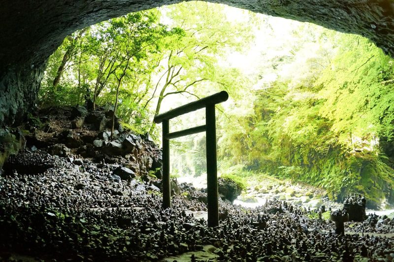 One-day trip to Kyushu Miyazaki: Kamishikimi Kumanoza Shrine & Takachiho Gorge & Ama-no-Iwato Shrine & Ama-no-Yasugawara (Departure from Fukuoka, including a special lunch) - Takachiho Gorge: the main event, with a shuttle option