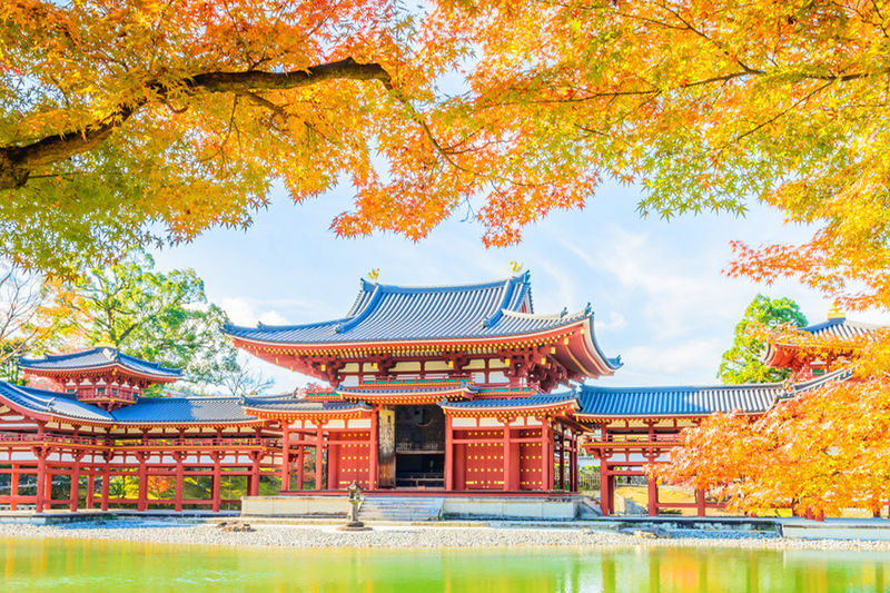 One-Day Uji Nara Onsen Tour: Nara Park with Deer Crackers + Todai-ji Temple + Uji Byodo-in Temple + Genji no Yu Onsen (Round Trip from Osaka) - The day at a glance