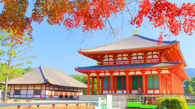One-Day Uji Nara Onsen Tour: Nara Park with Deer Crackers + Todai-ji Temple + Uji Byodo-in Temple + Genji no Yu Onsen (Round Trip from Osaka) - From Osaka, the transport is the main convenience