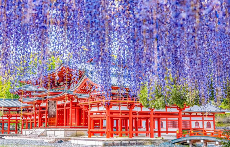 One-Day Uji Nara Onsen Tour: Nara Park with Deer Crackers + Todai-ji Temple + Uji Byodo-in Temple + Genji no Yu Onsen (Round Trip from Osaka) - Uji: Phoenix Hall, tea and a flexible afternoon