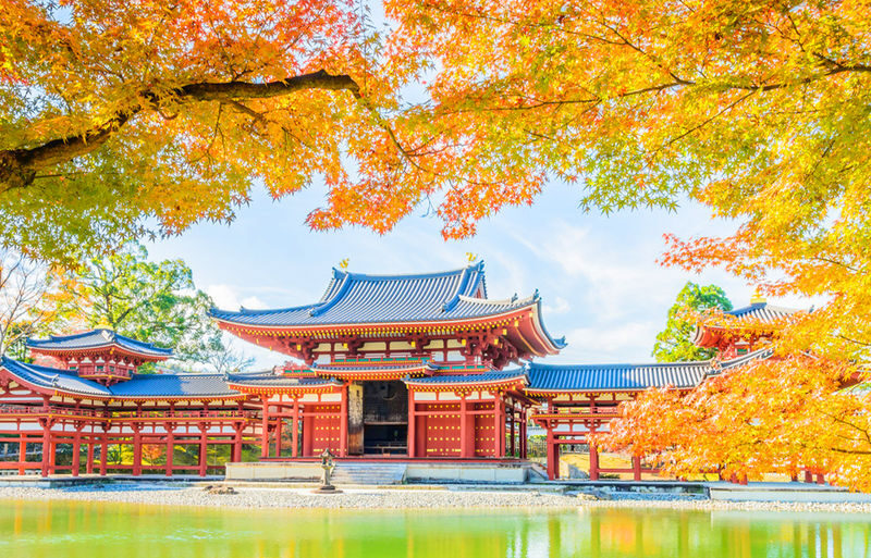 One-Day Uji Nara Onsen Tour: Nara Park with Deer Crackers + Todai-ji Temple + Uji Byodo-in Temple + Genji no Yu Onsen (Round Trip from Osaka) - Choose between more Uji and the hot spring
