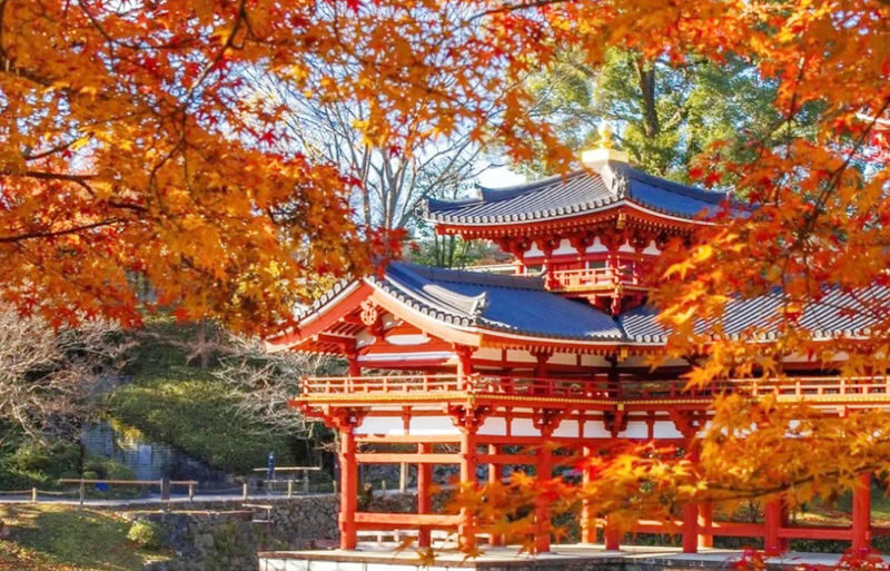 One-Day Uji Nara Onsen Tour: Nara Park with Deer Crackers + Todai-ji Temple + Uji Byodo-in Temple + Genji no Yu Onsen (Round Trip from Osaka) - What the price covers, and what it does not