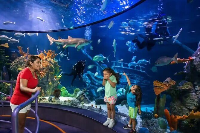 One Day Value Pass - Discover Moody Gardens One Day Value Pass: An Authentic Family-Friendly Adventure
